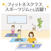 アルコール除菌剤ノロスター バッグインボックス詰替 20L 1個 ニイタカ