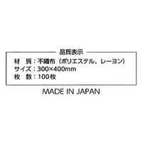 からだふき　ドライタオル【からだふき/ドライ】不織布ドライタオル　メッシュタイプ　レギュラーサイズ　1箱（100枚入×6パック）　昭和紙工 オリジナル