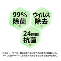大王製紙 トイレのおそうじシート 小判 オレンジの香り 1箱（24個入）【そのまま使えるファスナー付き】 オリジナル