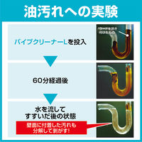 ニイタカ パイプクリーナーL 5.5kg  排水口用洗剤 232630 　1箱（3本入）