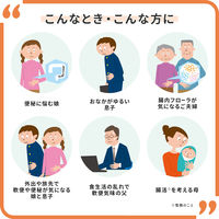 大正製薬 新ビオフェルミンS錠 1箱（350錠入） 錠剤/350錠 4987306054783