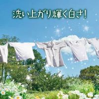 ボールド フレッシュピュアクリーンの香り ウルトラジャンボ詰替1.85kg 1箱（6個入） P&G