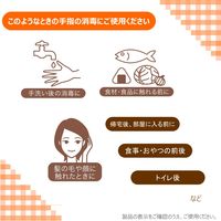 サニテート Aハンドミスト ミッフィー 消毒液 手指 アルコール消毒液 本体 300mL 1箱(8本) ライオン 業務用