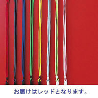 ストラップ付名札 チャックなし レッド 5組 HEROES  オリジナル