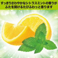 ゴミ箱の消臭力 シトラスミントの香り 1パック（2個入）