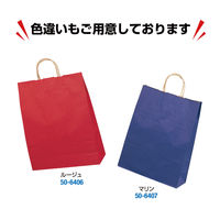 ササガワ 手提げバッグ 10Pエメラルド 特大 50-6408 1袋(10枚入)