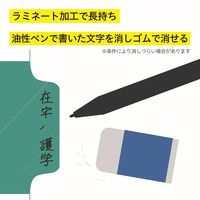 マルマン アスクル 共同企画 ラミネートタブカラーインデックス 2穴 5山 扉紙無 A4タテ 1袋（10組入） オリジナル