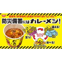 日清食品 日清カレーメシ 欧風ビーフ　　1箱（6食入）
