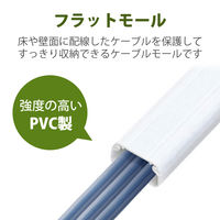 エレコム　マルチ対応モール（両面テープ付）　壁用モール　ホワイト　長さ1m×幅22mm　LD-GAF2/WH　1本