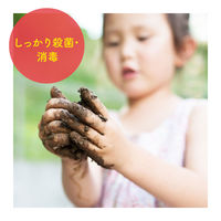 ミューズノータッチ 泡ハンドソープ オリジナル 詰替250mL 579679 1箱（12個入） レキットベンキーザー・ジャパン