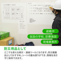 セーラー万年筆 どこでもシート 31-3500-000 1箱(25シート入)