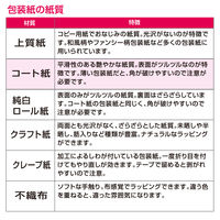 ササガワ 包装紙 ホライズンP 49-1137 1袋(50枚入)