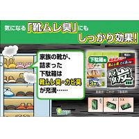 エステー 脱臭炭こわけ下駄箱用 大型 1セット（9個）