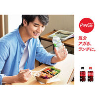 コカ・コーラ 300ml 1セット（48本）