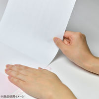 コクヨ　クリヤーブック替紙（カラーマット）　A4タテ30穴　赤　ラ-880NR　1箱（200枚：10枚入×20袋）