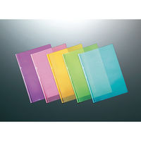 コクヨ　レールクリヤーホルダー＜カラーズ＞(PET)　A4タテ　約20枚収容　スカイブルー　　フ-TPC760B　1セット(100冊)