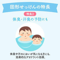 ミューズ 石鹸 レギュラー 95g 1セット（3個入×10パック） レキットベンキーザー・ジャパン