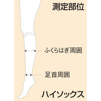 アルケア　アンシルク・ビバナス　ハイソックス　ブラック　M　18312　1足（2本）