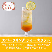 片岡物産 トワイニング リキッドティー アールグレイ 1L 1箱（6本入）