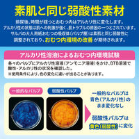 大人用紙おむつ サルバ やわ楽パンツ L～LL 2回 1パック（30枚）白十字