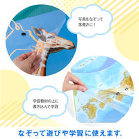 セーラー万年筆 どこでもシート 透明 31-3501-000 1箱(25シート入)