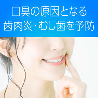 マウスウォッシュ 洗口液 口臭 モンダミン プレミアムケア ホワイトミント 1000mL 1セット（3本）微刺激タイプ アース製薬