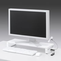 サンワサプライ　USBハブ付き机上液晶モニタスタンド　MR-LC201HW　（直送品）