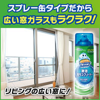 スクラビングバブル ガラスクリーナー 激泡ガラスクリーナー エアゾールタイプ 本体 480ml 1ケース(15本入) ガラス用洗剤 ジョンソン