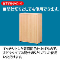 ARAN WORLD　EIDOS（エイドス）　TR収納ミドルタイプ　A4　3段　両開き　ダークブラウン　1台（2梱包）（取寄品）