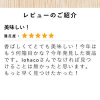 ダイドー おいしい麦茶 600ml 1箱（24本入）