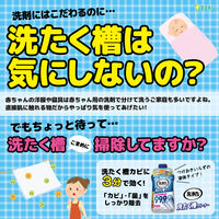エステー　洗浄力（センジョウリキ）　洗たく槽クリーナー　1個（直送品）