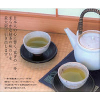 トキワ工業 糸付 お茶パック Lサイズ 1袋（26枚入）