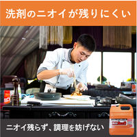 ライオン 強力ルック4L JSRG4*M 1箱(3個入)