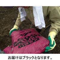 【天然ゴム背抜き手袋】 ショーワグローブ 「現場のチカラ」 簡易包装グリップ(ソフトタイプ) No.310 ブラック L 5双  オリジナル