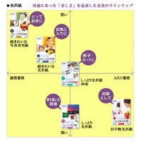 プラス　超きれいな光沢紙　A3　IT-142GC　1袋（20枚入）