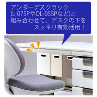 プラス サンプルボックス　ＢＦ10ーＡ4ー150　Ａ4　濃 BF10-A4-150 DGY 1冊（直送品）