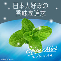 マウスウォッシュ 洗口液 口臭 モンダミン スパイシーミント 1000mL 強刺激タイプ 口臭対策 アース製薬
