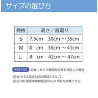 竹虎 ドルフソフト2号 L 035094 1個