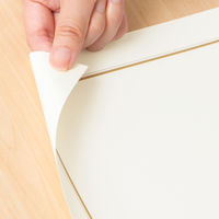 オキナ OA対応辞令・賞状用紙 A4 210×297ミリ SZA4 1セット（100枚：10枚入×10袋）