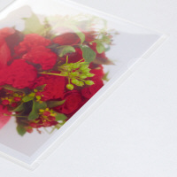 プラス 高透明カラークリアホルダー（角Ｒ） A4 クリア 1セット(100枚) ファイル 89178