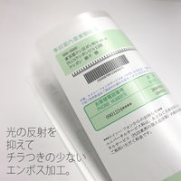 プラス フィルムホルダー A4 クリアー FL-160HO-10 1パック(10枚)