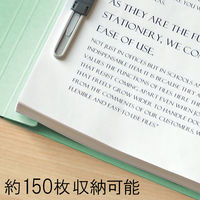 プラス エコノミーフラットファイルA4S BL No.021E 1パック(10冊入)（直送品）