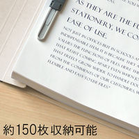 プラス エコノミーフラットファイルA4S GY No.021E 1パック(10冊入)（直送品）