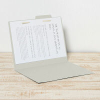 プラス 個別フォルダーエコノミー A4E GY FL-081IF 1パック(10枚入)