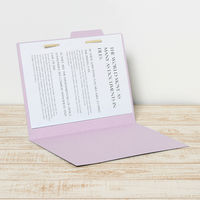 プラス 個別フォルダーエコノミー A4E VL FL-081IF 1パック(10枚入)