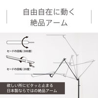 レディックエグザーム　オフィス（ホワイト）　LEX-970WH　スワン電器