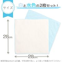激落ちくん ふきん マイクロファイバー 厚手タイプ イヤな臭いを防ぐ Ag＋ 抗菌 防臭 2枚入 1袋 レック
