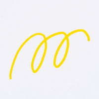 プロッキー 水性サインペン 細・極細ツイン 黄 10本 三菱鉛筆 uniユニ