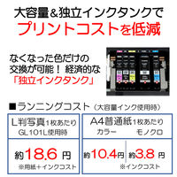 キヤノン A3インクジェットプリンター PIXUS iX6830 黒 5色ハイブリッド 有線無線LAN USB対応 コピー・スキャン・FAX機能なし