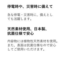 倍速凍結・氷点下パックL 81660641 1個 LOGOS/ロゴス